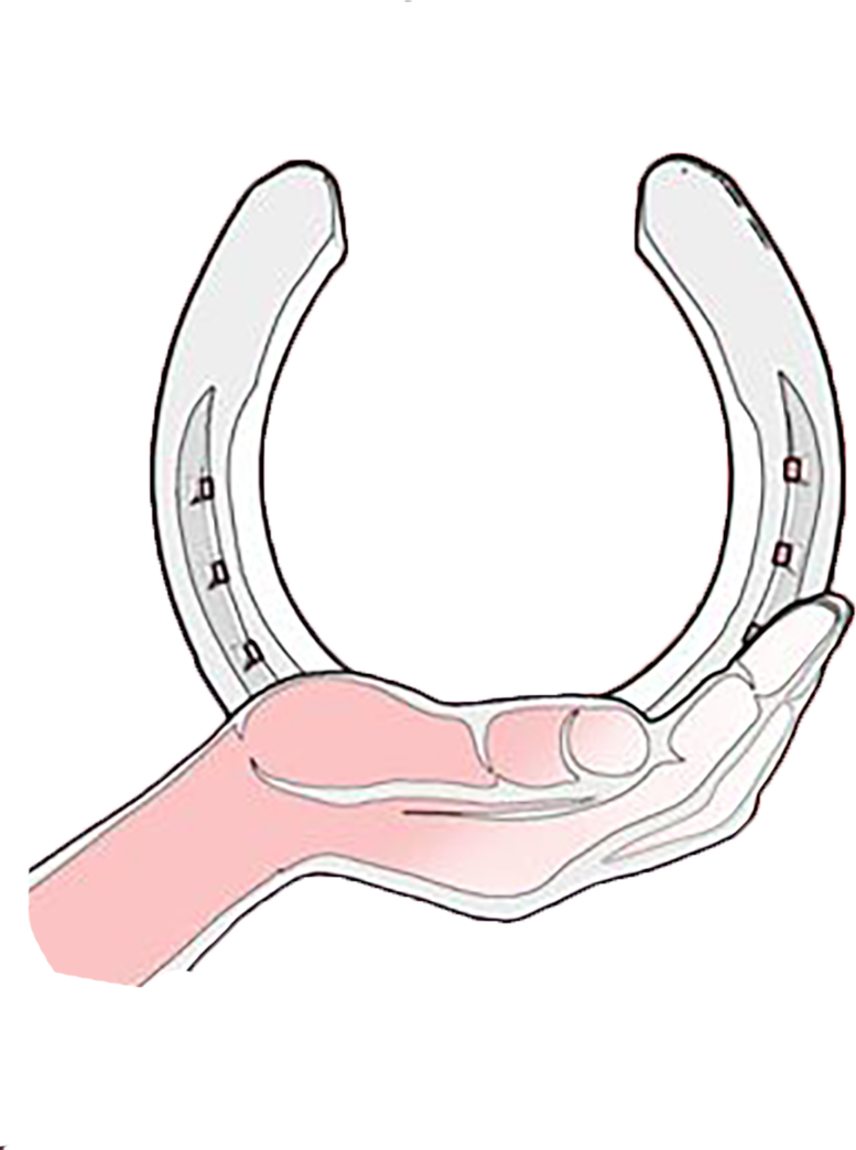 FLORE DALBERTO MARAICHALERIE